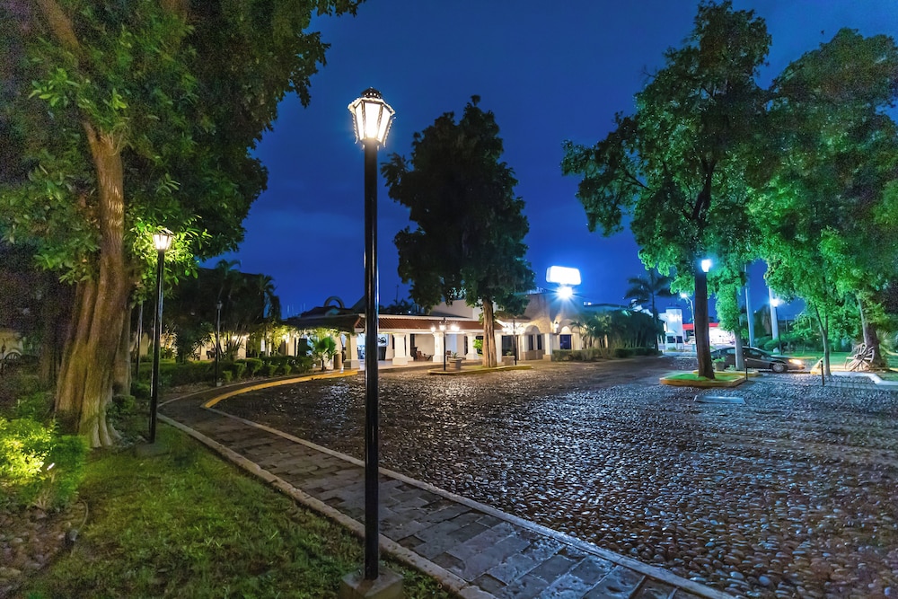 Garden view
