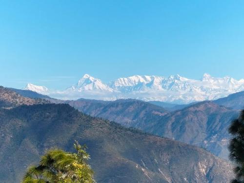 The Himalayan meadows - last minute hotel in Naini Tal