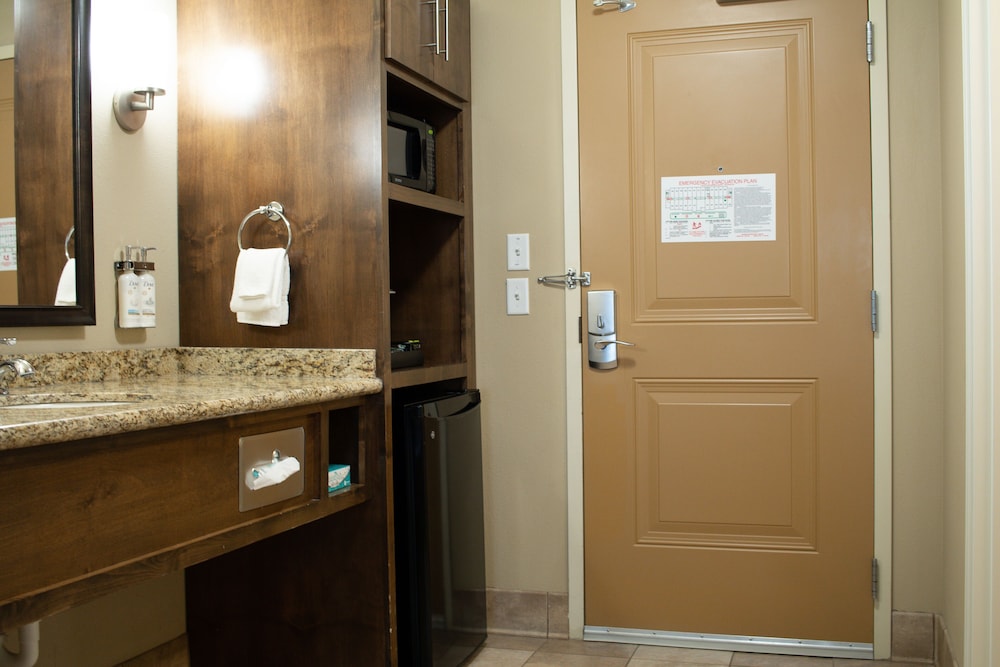 Holiday Inn Express & Suites Williston by IHG - photo 29