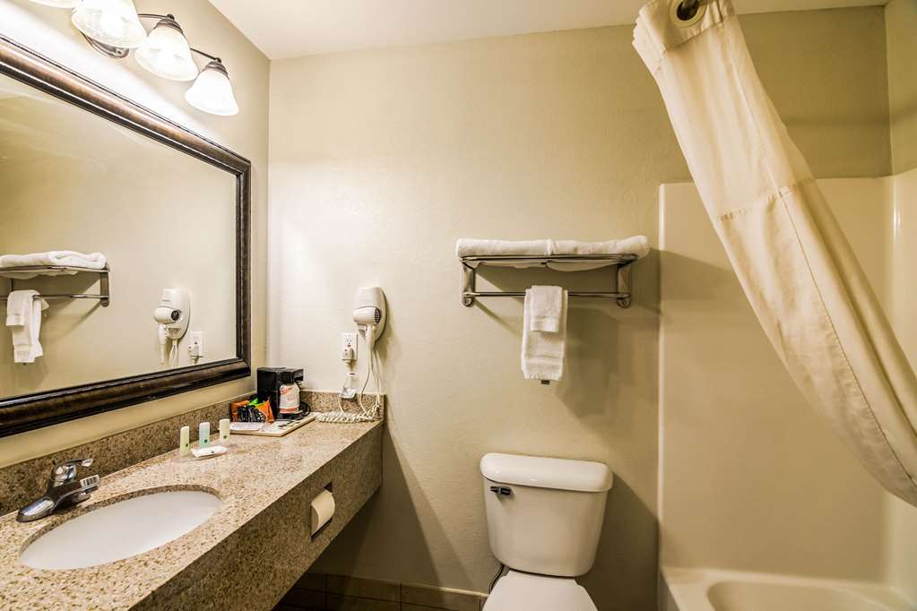 Quality Inn Alexander City - photo 30