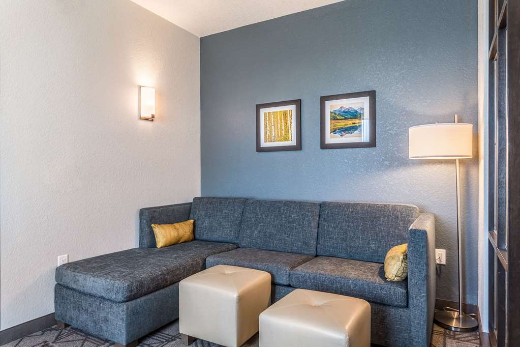 Comfort Inn & Suites Salt Lake City Airport - photo 49