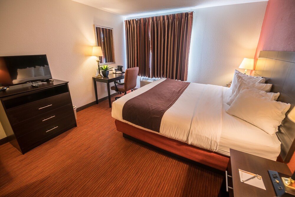 316 Hotel - photo 11
