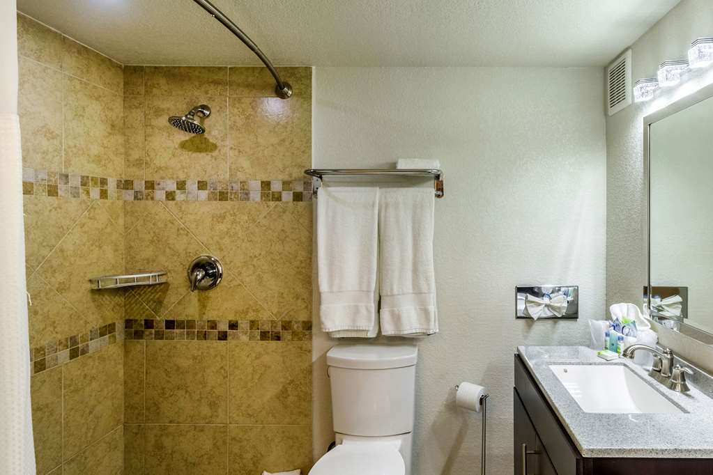 Clarion Inn near McAllen Airport - photo 15