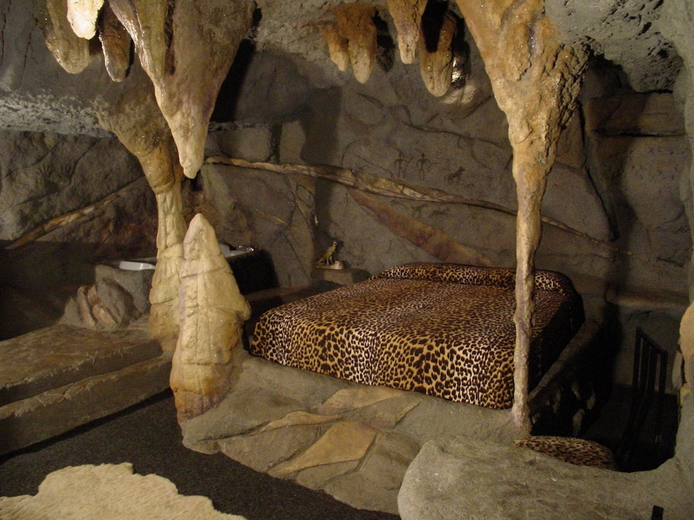Wildwood Inn Tropical Dome & Theme Suites - photo 12