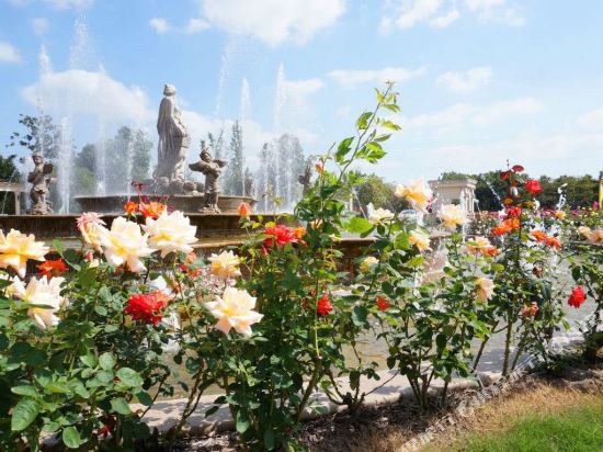 Rose Manor — Chengxiang — photo 5