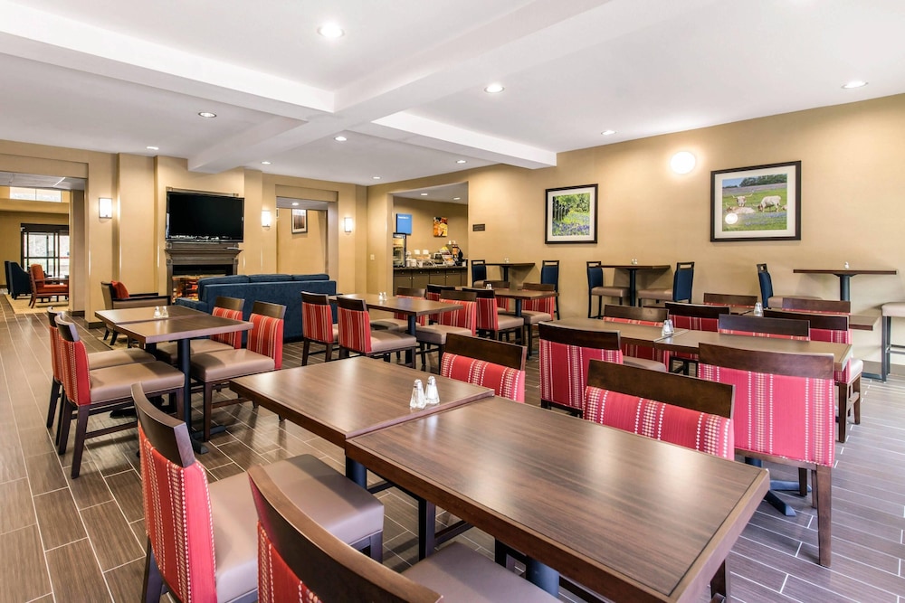 Comfort Inn & Suites IAH Bush Airport East - photo 25