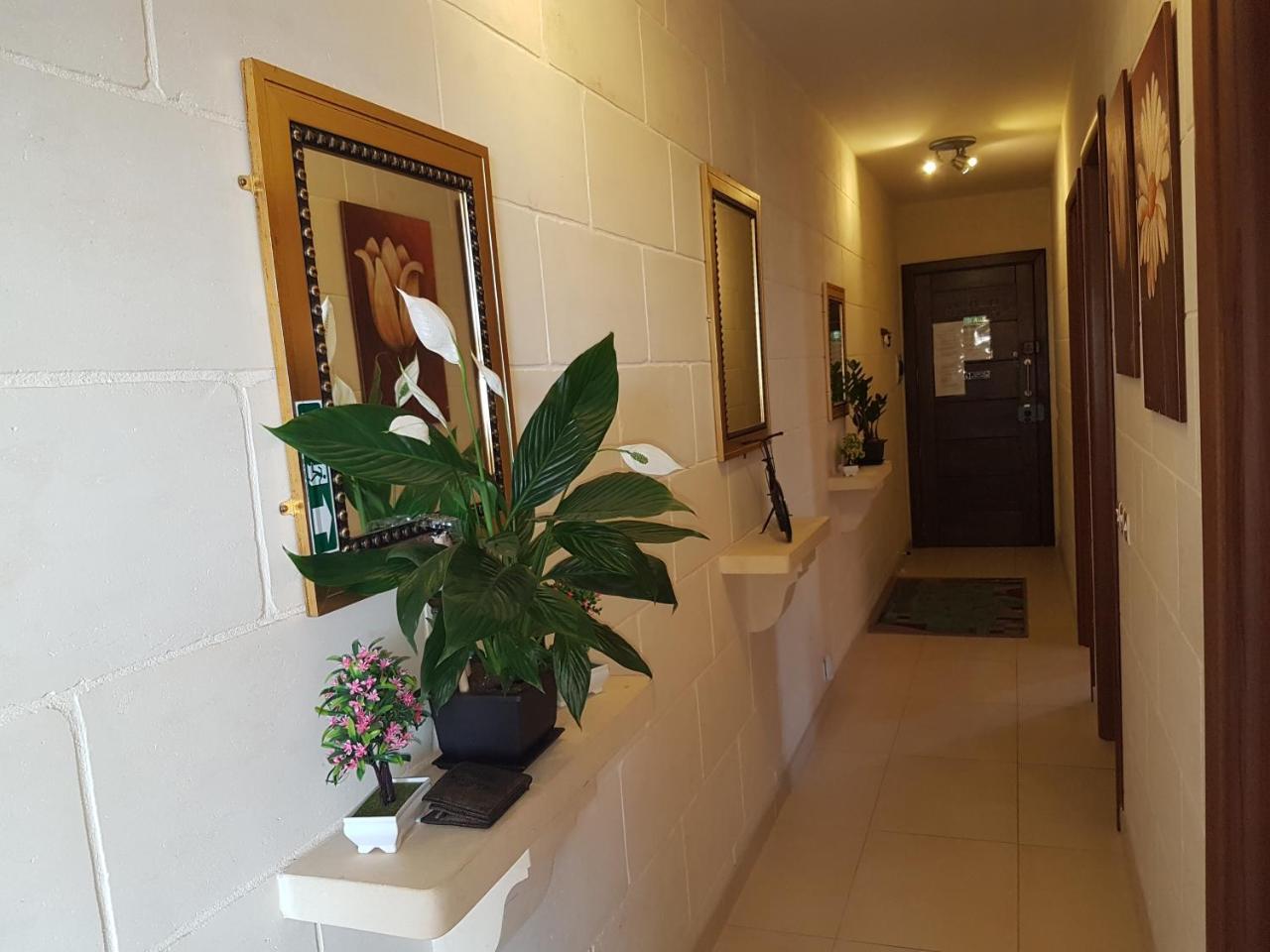 Il Bejta Penthouse — Qala — photo 3