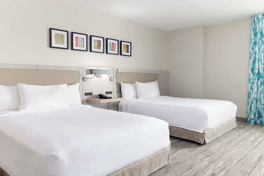 Hilton Garden Inn Hanover Arundel Mills BWI Airport - photo 16