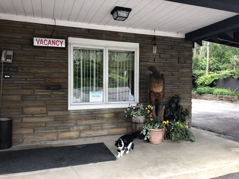 Gold Eagle Inn - photo 32