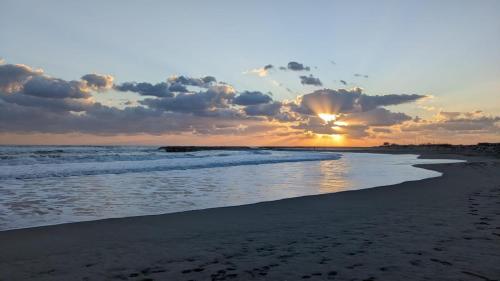 Crinblanc in Saintes-Maries-De-La-Mer, France