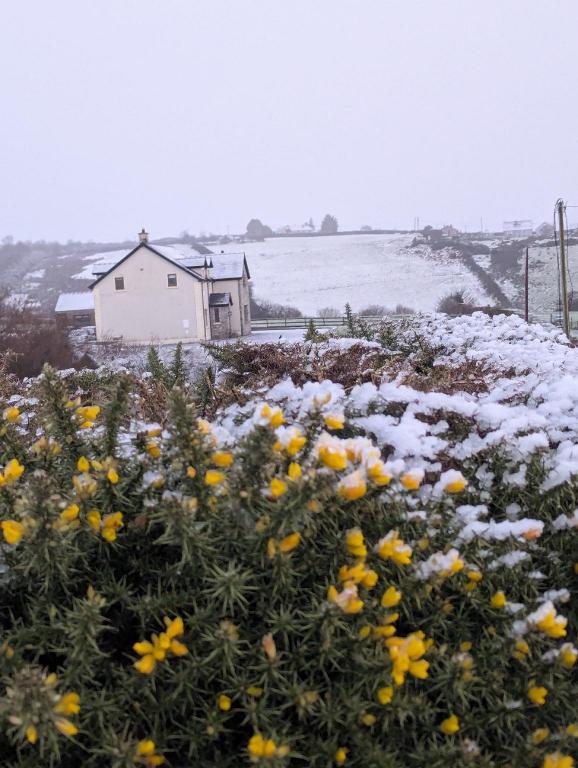 Saol Mall bnb — 5-Star Luxury Hotel in Donegal, Republic of Ireland