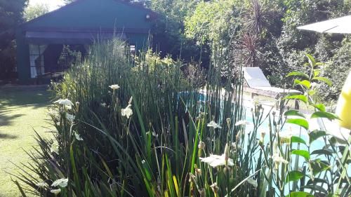 Loft Verde que te quiero Verde in Mercedes, Argentina