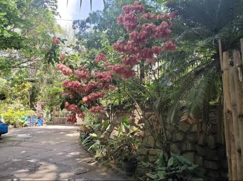 Hillcrest Sanctuary - last minute hotel in Unknown City