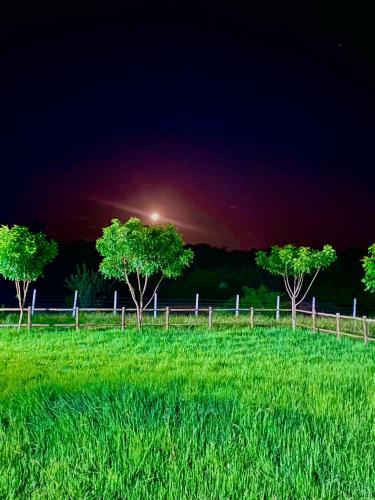 Haras Ncx in Feira De Santana, Brasil