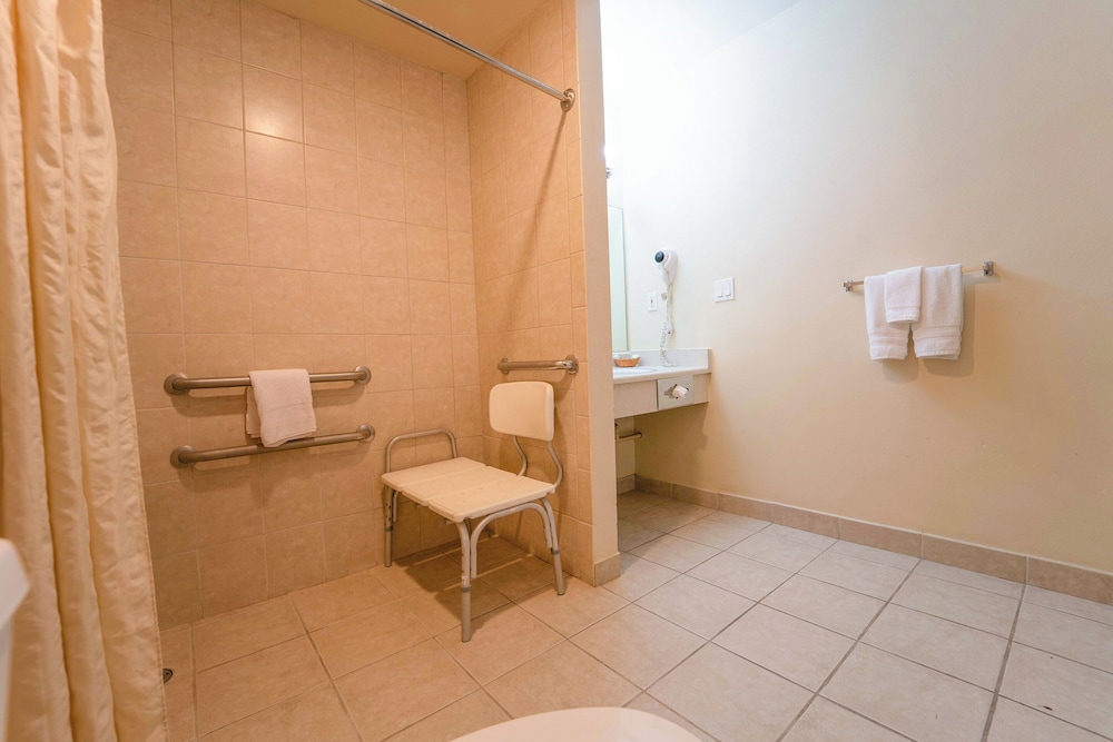 Royal Plaza Inn Indio - photo 71
