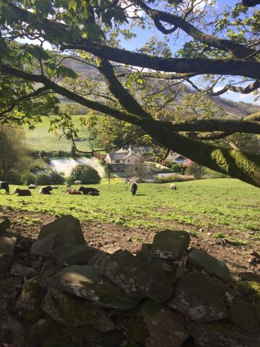 Willowbank — Ambleside — photo 5