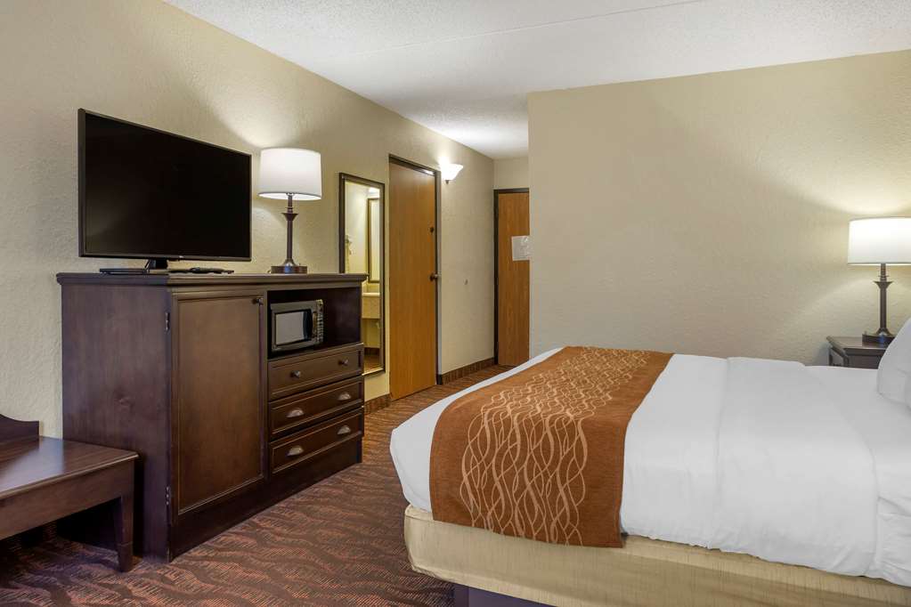 Comfort Inn at Thousand Hills - photo 10