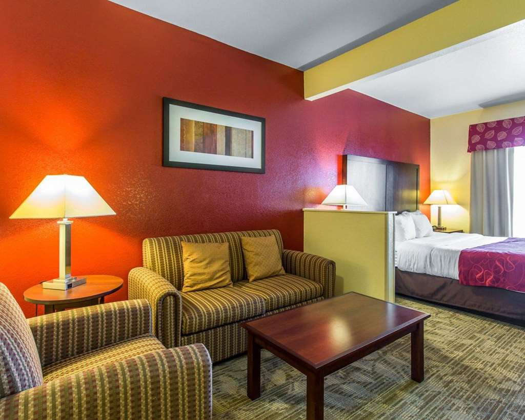 Comfort Suites Palm Desert I 10 - photo 26