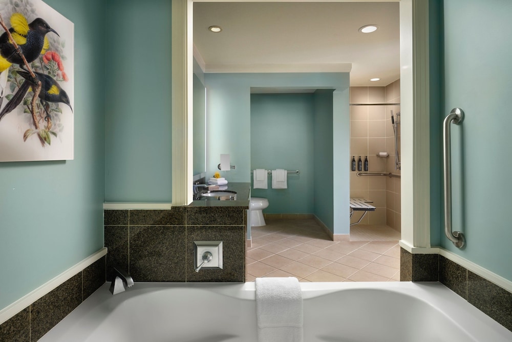 The Westin Ka'anapali Ocean Resort Villas - photo 13