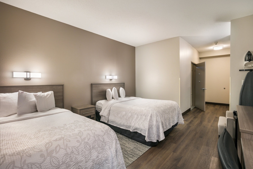 Red Roof Inn PLUS Boston Logan - photo 11