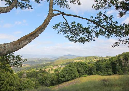 Maleny Hinterland Escape — Witta — photo 4