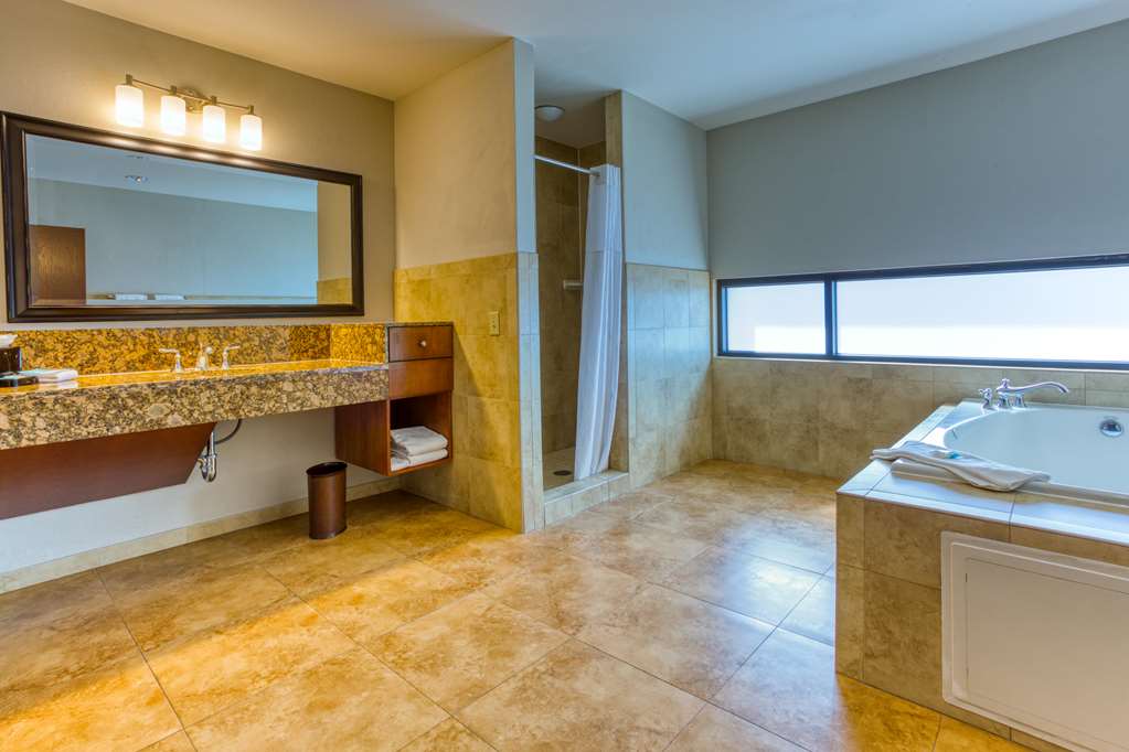 Drury Plaza Hotel San Antonio Riverwalk - photo 115