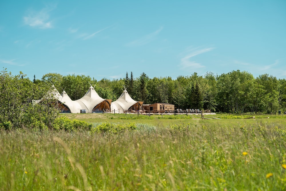 Under Canvas Acadia - photo 54