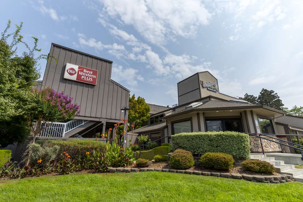 Best Western Plus Inn At The Vines - photo 3