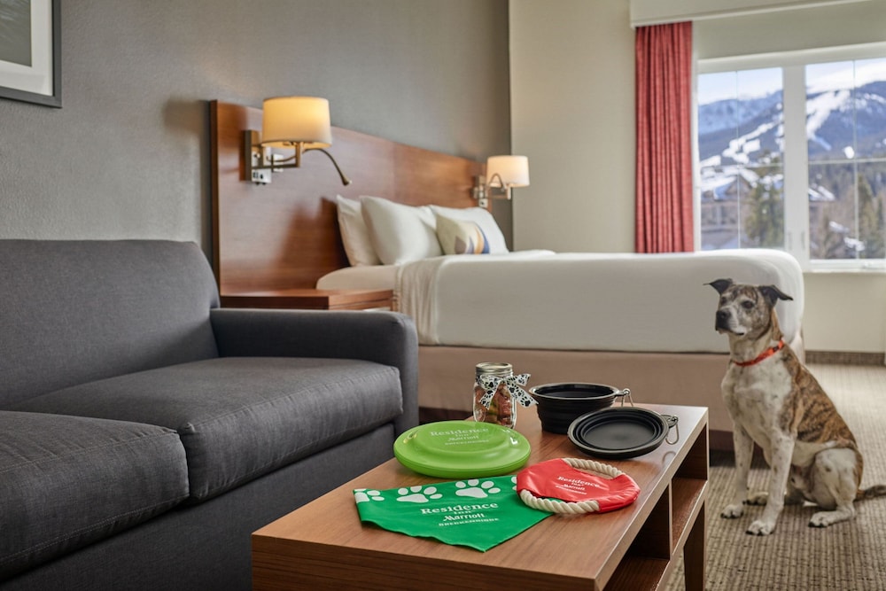 Residence Inn by Marriott Breckenridge - photo 45