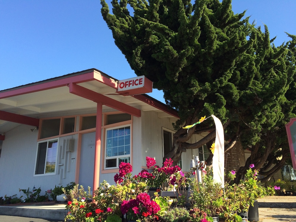 Sundown Inn - photo 45