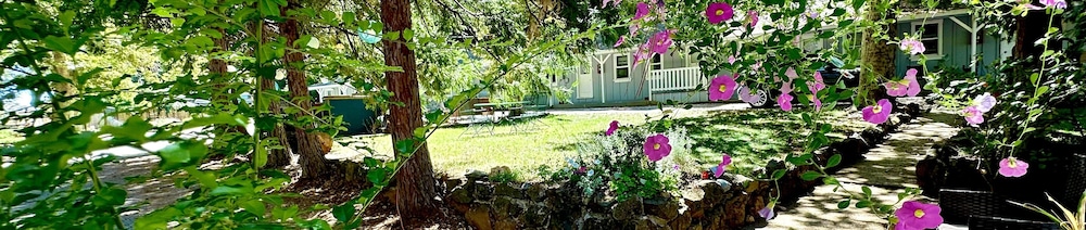 The Pines Inn and Cottages - photo 67
