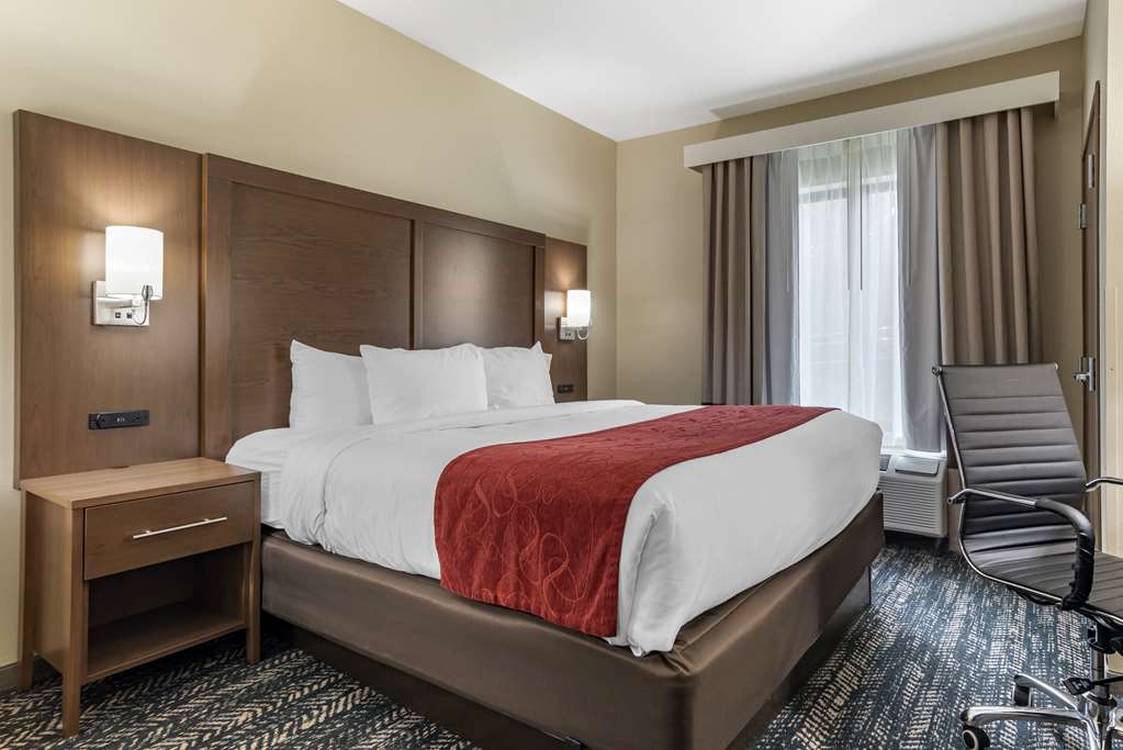 Comfort Inn & Suites Downtown near University - photo 17
