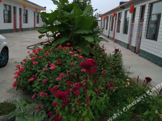 Tianranju Farmstay in Zhongwei, People's Republic of China