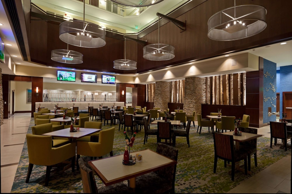Embassy Suites by Hilton Denver Downtown Convention Center - photo 24