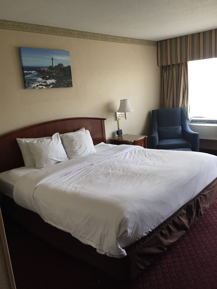 Fireside Inn & Suites Belfast - photo 4