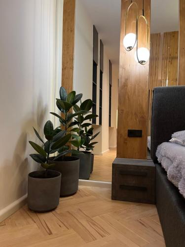 J&J City Centre Apartment