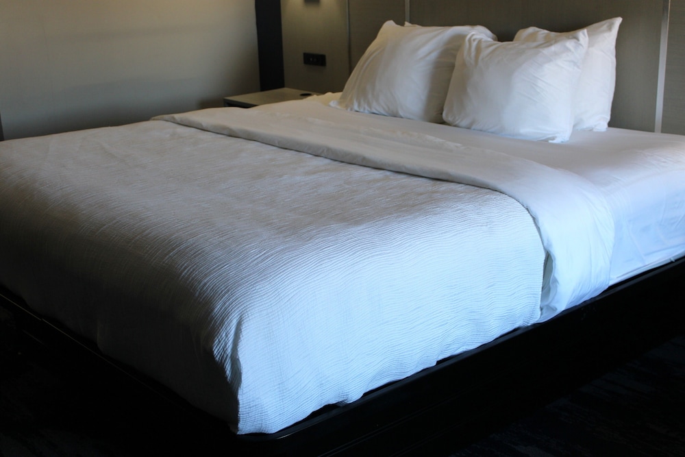 Quality Inn Scottsboro US 72 Lake Guntersville Area - photo 5