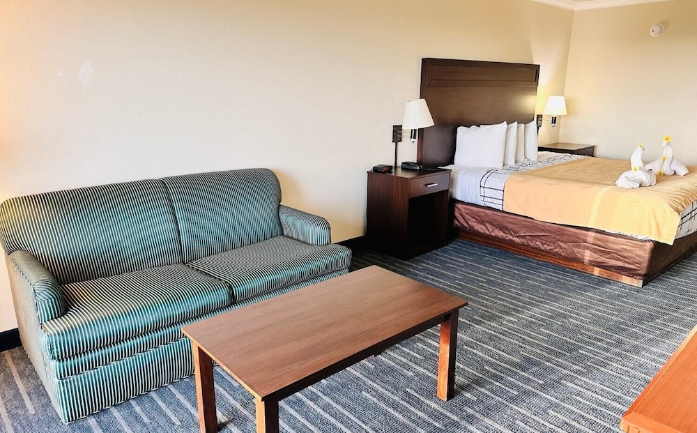Ocean Paradise Hotel & Resort - photo 4