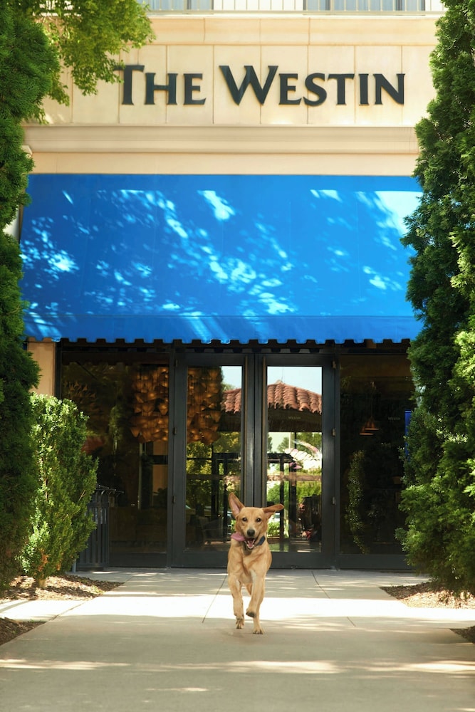 The Westin Huntsville - photo 33