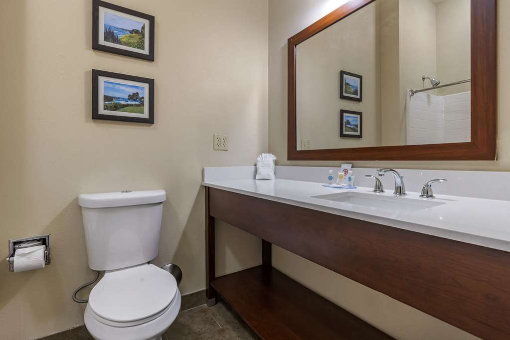 Comfort Inn & Suites Ukiah Mendocino County - photo 26