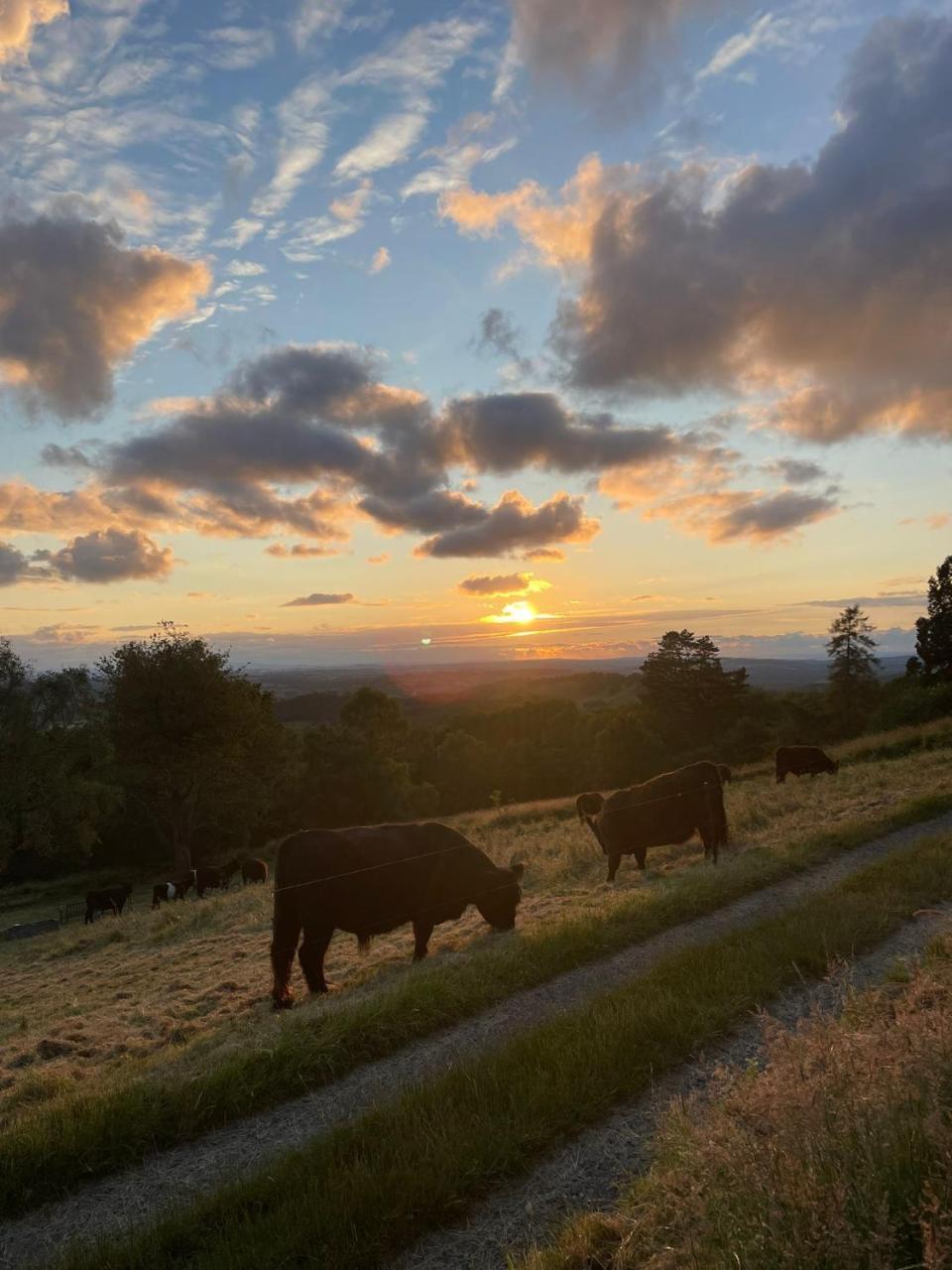 Deja View — Great Malvern — photo 5