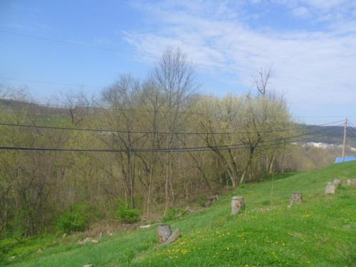 Morgantown Motel - photo 16
