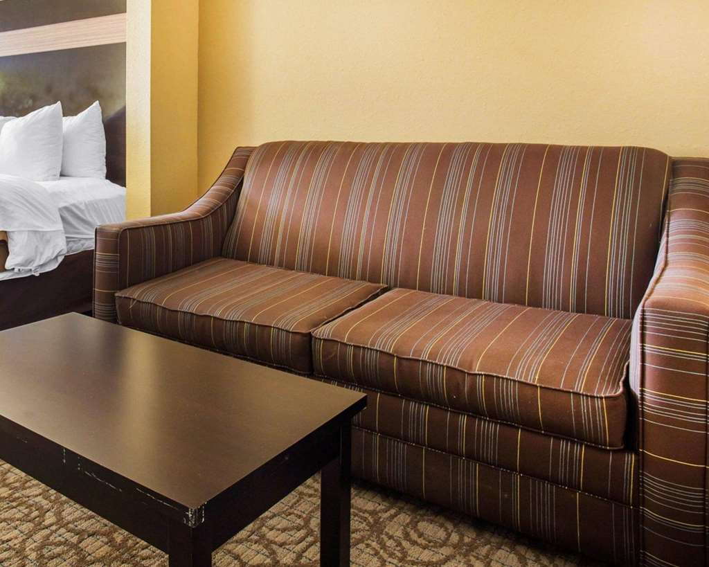 Comfort Inn & Suites at Stone Mountain - photo 23
