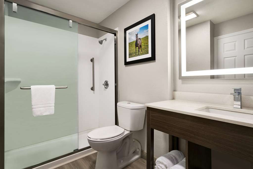 La Quinta Inn Lexington Horse Park - photo 52