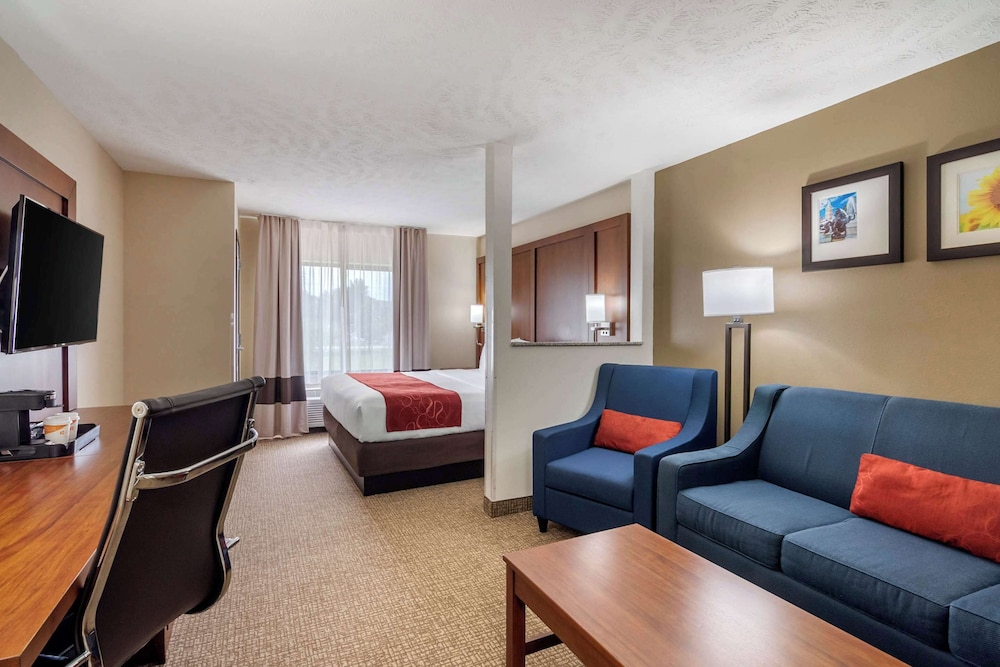 Comfort Suites Speedway Kansas City - photo 10