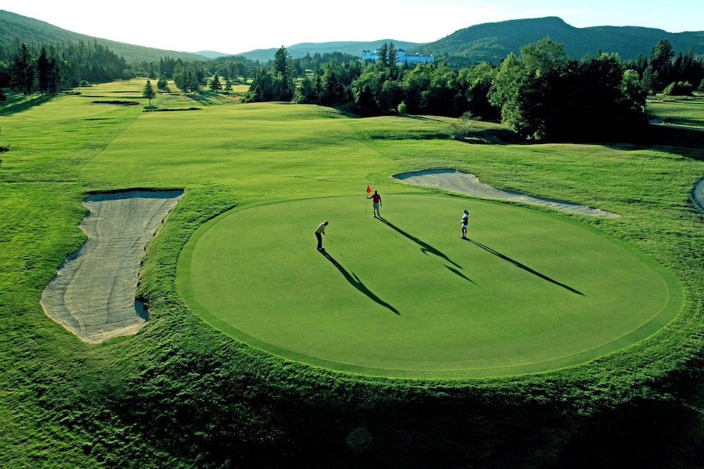 Omni Mount Washington Resort & Spa - photo 84