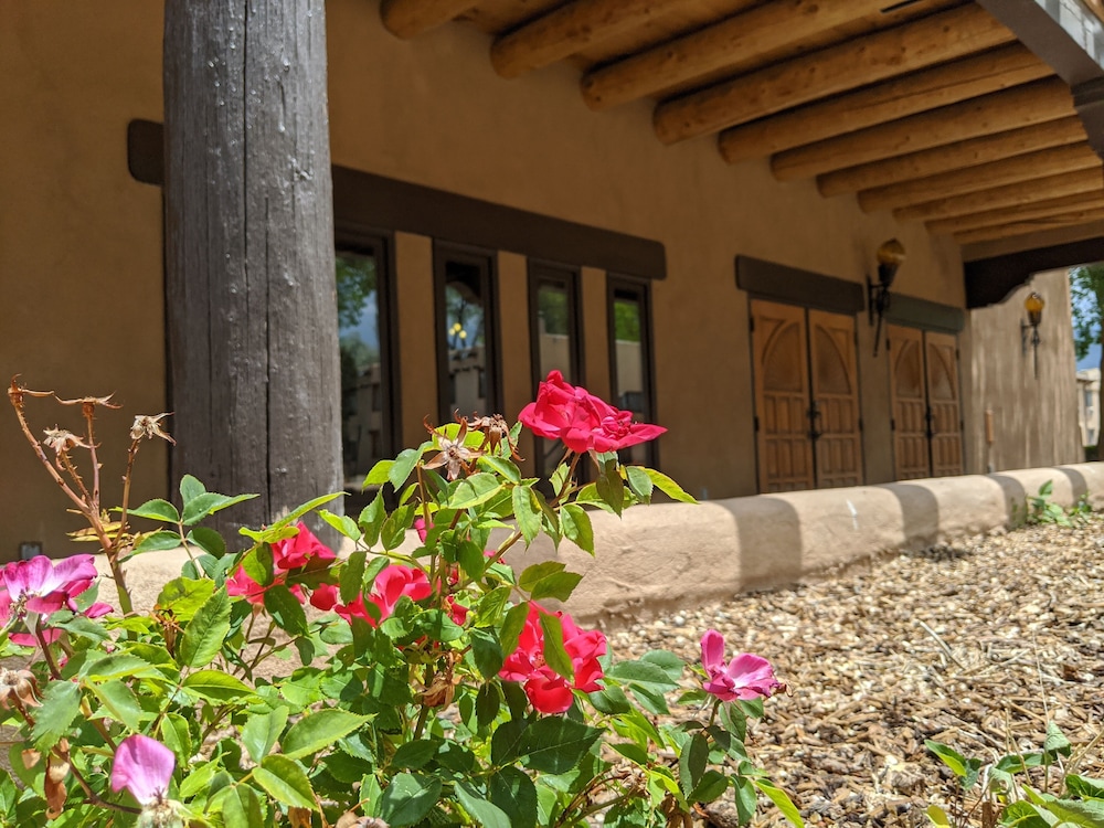 Sagebrush Inn & Suites - photo 114