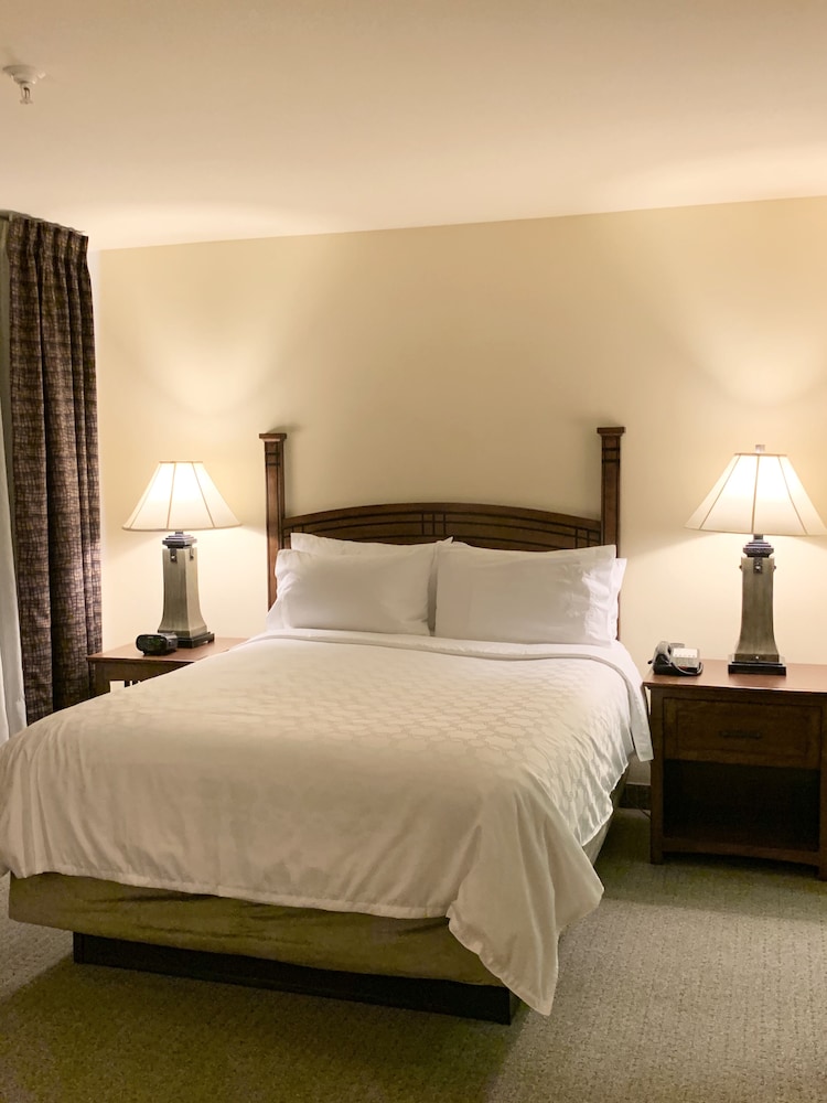 Staybridge Suites Albuquerque Airport by IHG - photo 12