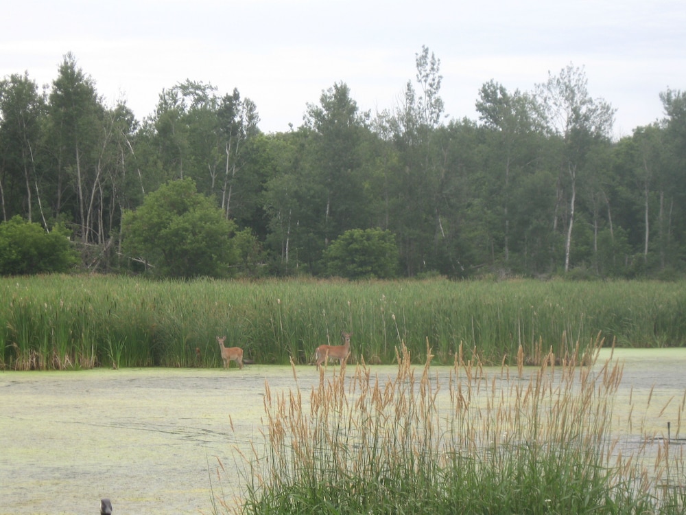 Northwoods Lodging - photo 35