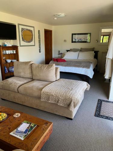 Otago Peninsula Paradise in Dunedin, New Zealand